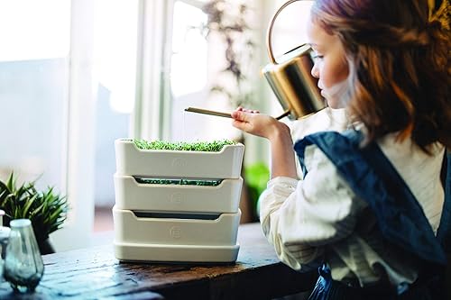 Miniatura 2 de Emile Henry Brote de 3 piezas blanco harina