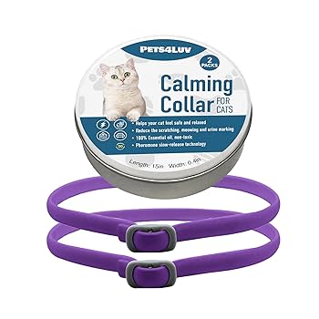 ぱーぷるきゃっと 猫用手作り首輪 imgrc0091275032.jpg