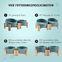 SPUNKYJUNKY 15° dönthető kerámia tál kutyáknak macskáknak 400ml világoszöld 3