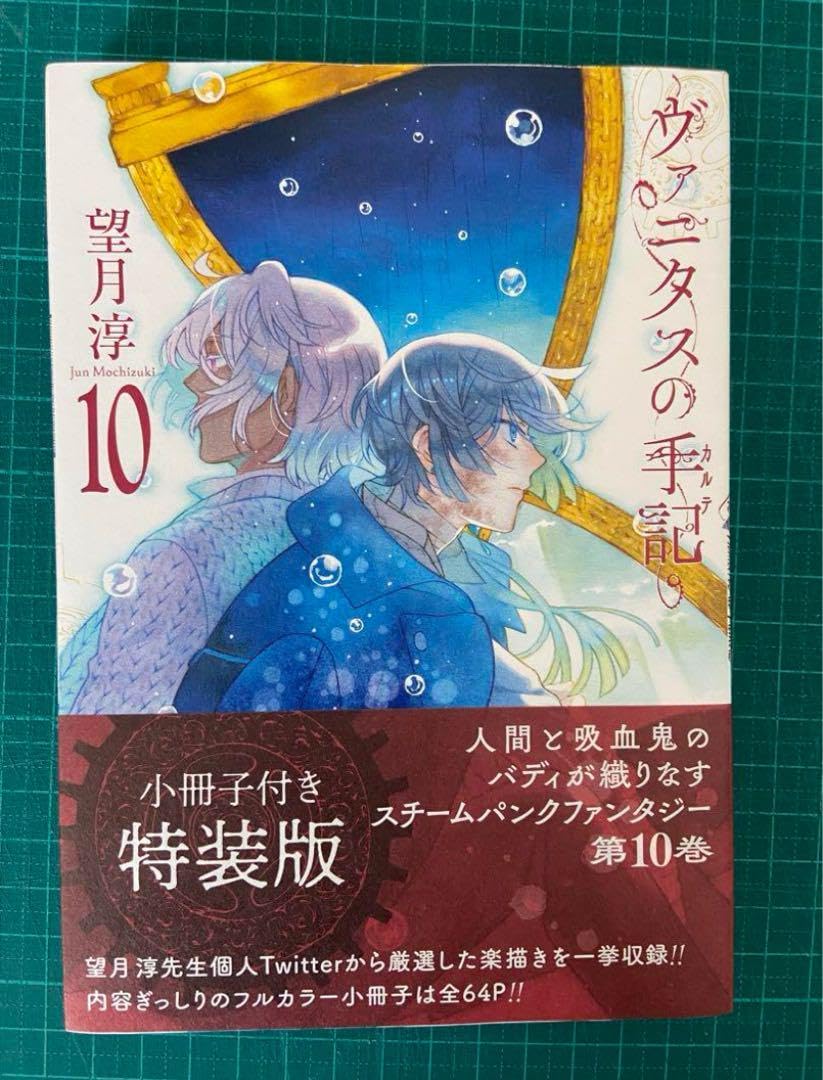 ヴァニタスの手記 Amazon.co.jp: ヴァニタスの手記(10) 特装版 小冊子付き (SE
