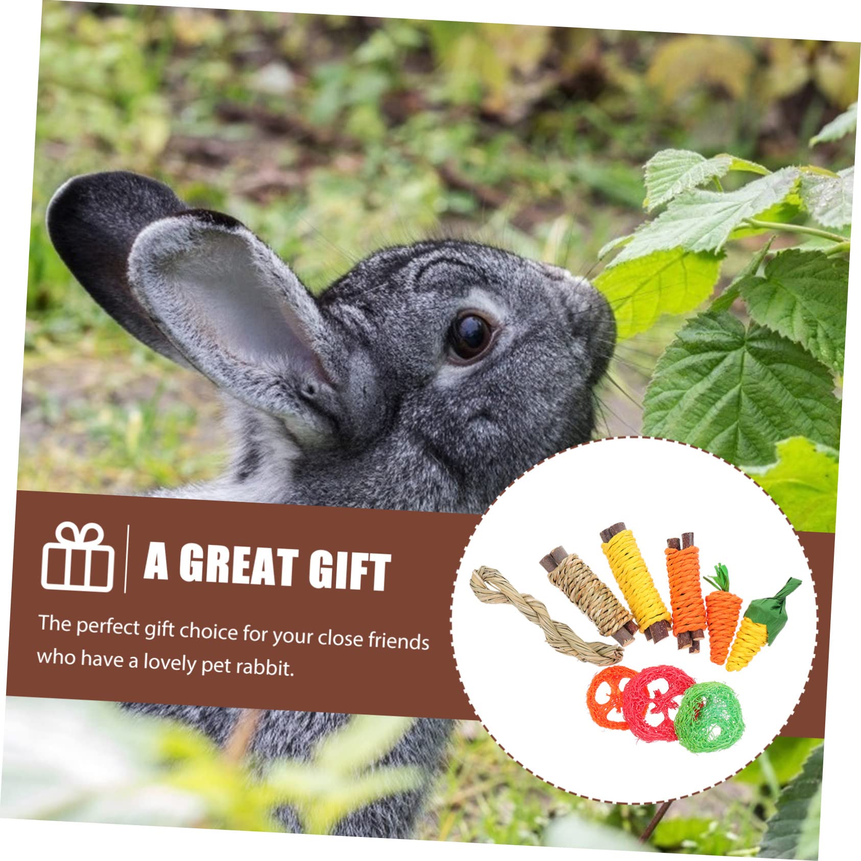 Housoutil 5sets Giocattoli Per Piccoli Animali Di Giochi Per Cani e Conigli Giocattolo Da Masticare Naturale Legno Per Criceti e Conigli Stimola Gioco e Salute