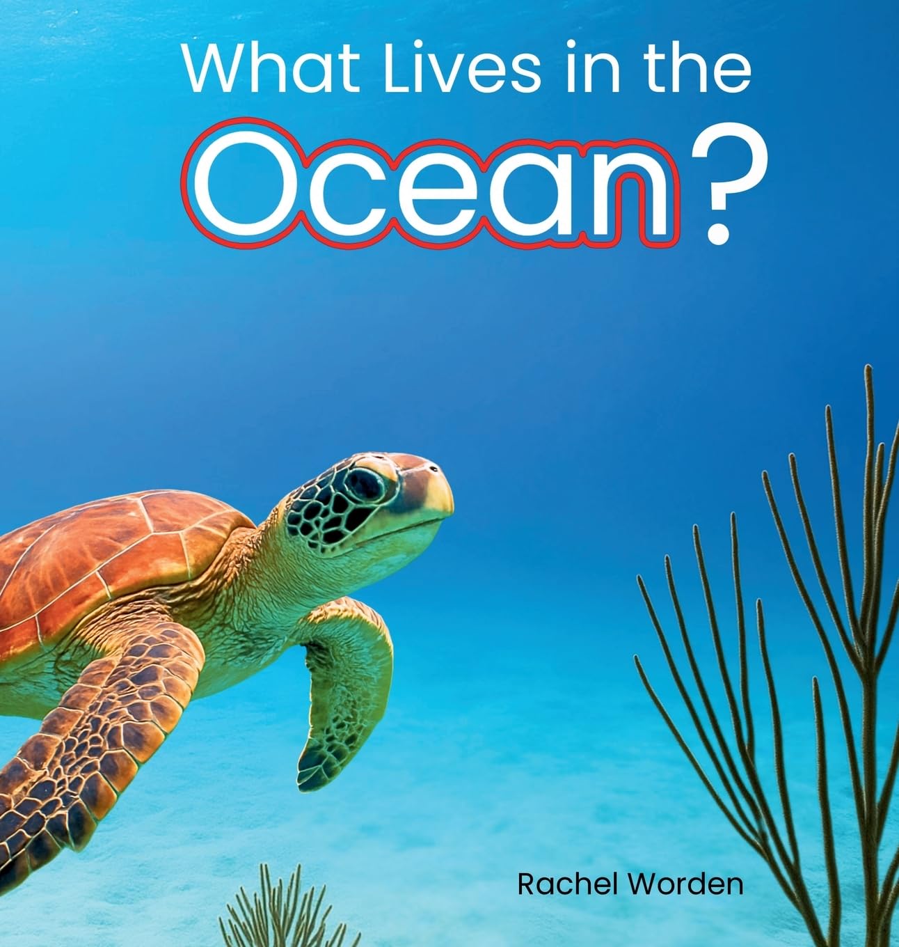 What Lives in the Ocean? (Habitat Series): 1