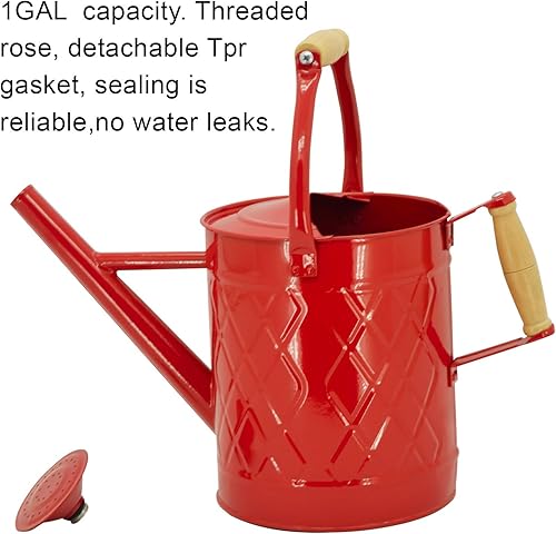 Miniatura 3 de Recipiente para regar plantas de interior y exterior, galvanizada, estilo moderno con asa y rosetón