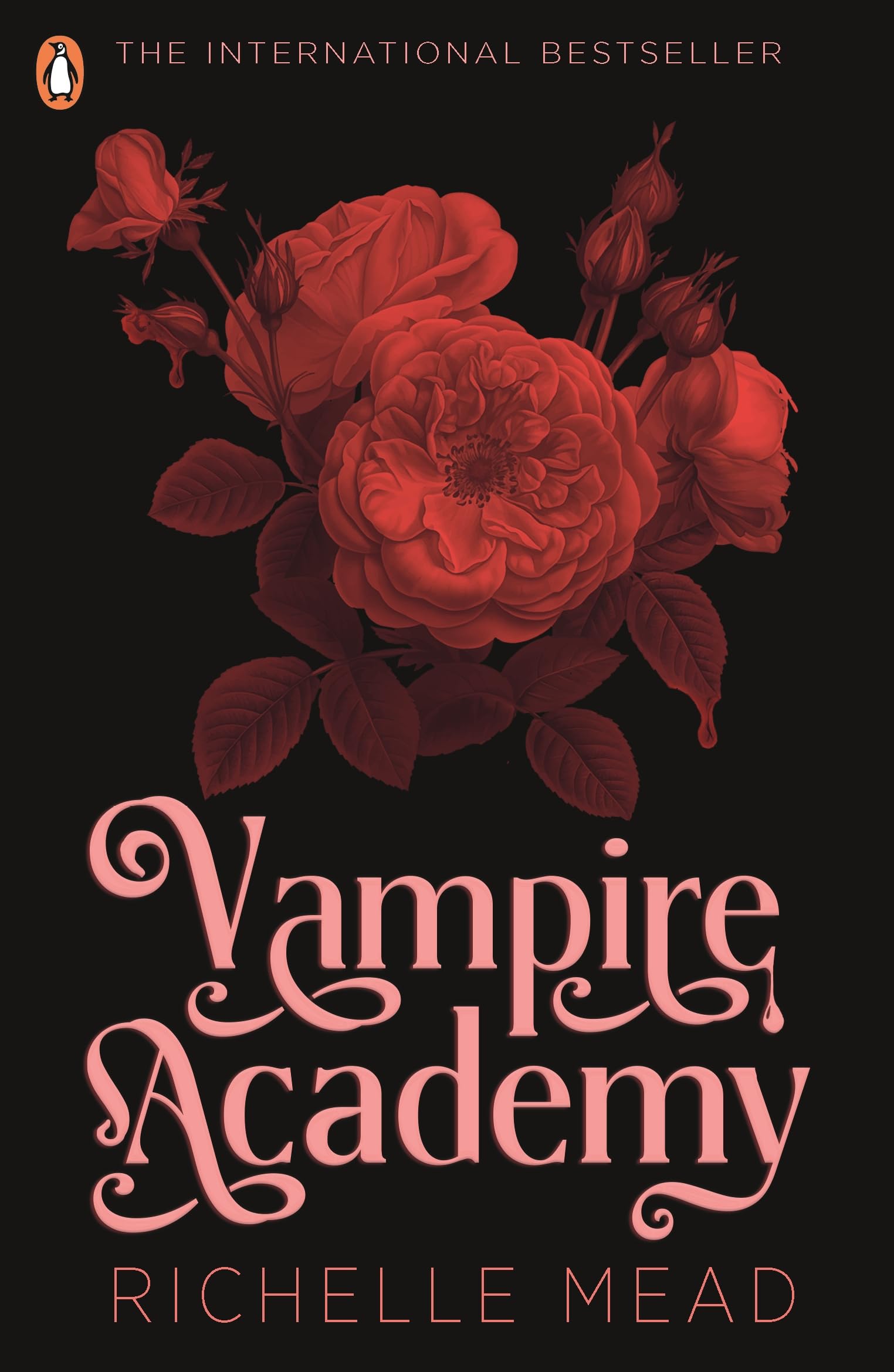 Richelle Mead Vampire Academy Book 1 Paperback