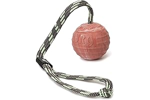 Julius K9 Natural Rubber Ball with Closable Handle
