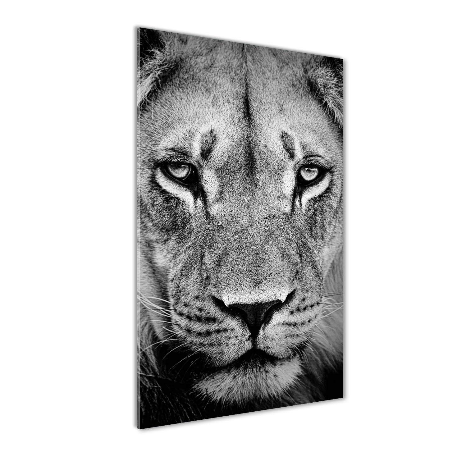 Tableau Lion en verre trempé 70x140cm de décoration murale contemporaine