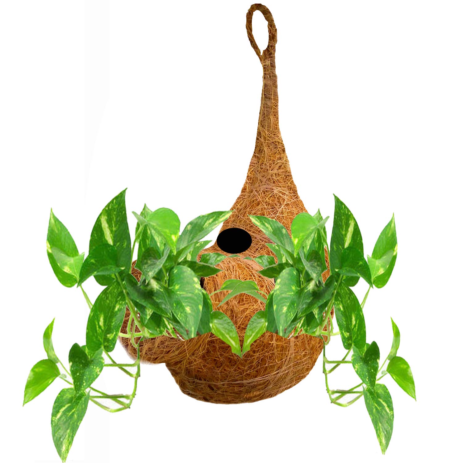 LIVEONCE Planter Hanging Set ,Large, 1 Piece (B085ZZXR15) Amazon Price History, Amazon Price Tracker