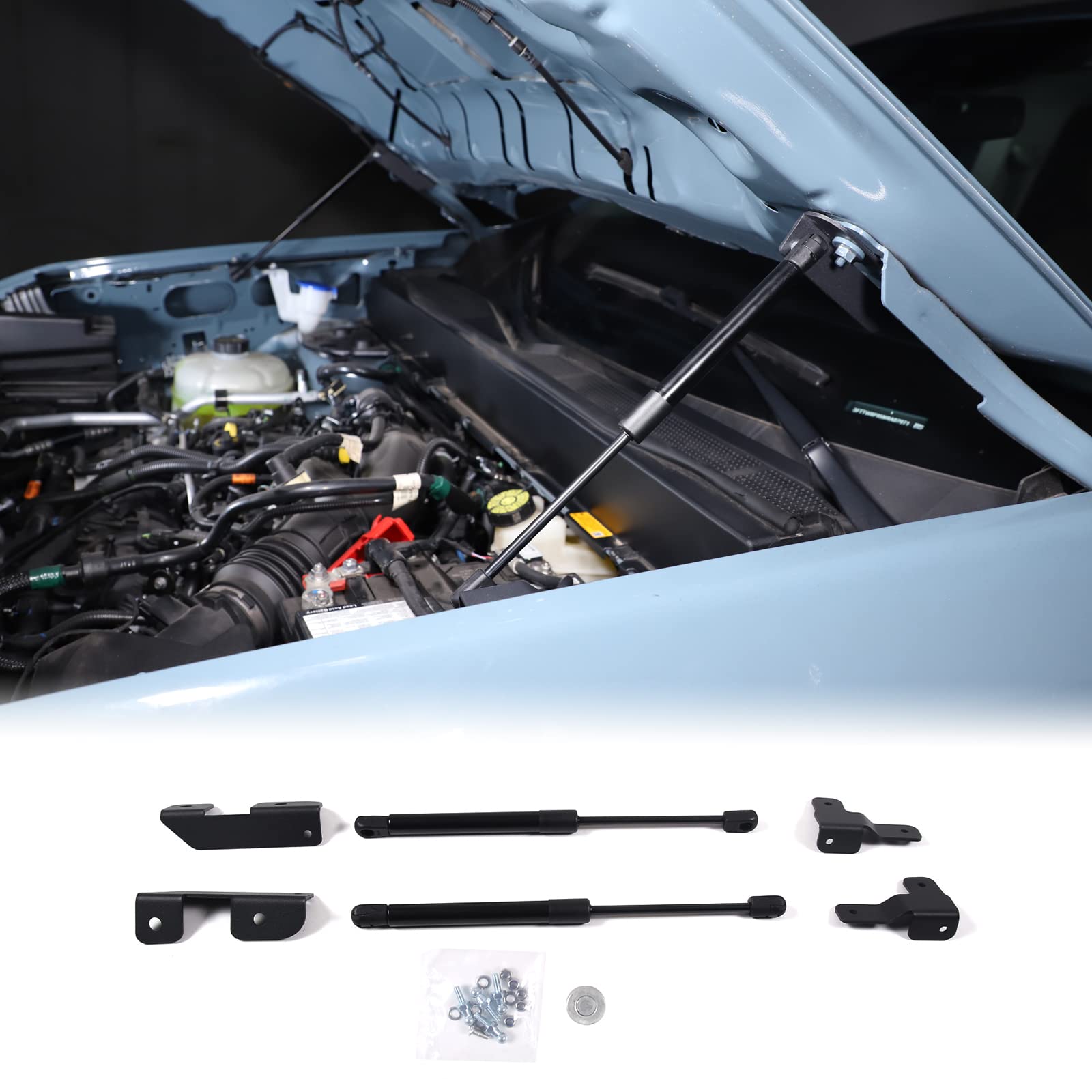 Amazon.com: Car Front Hood Lift Supports Kit Compatible with Ford 