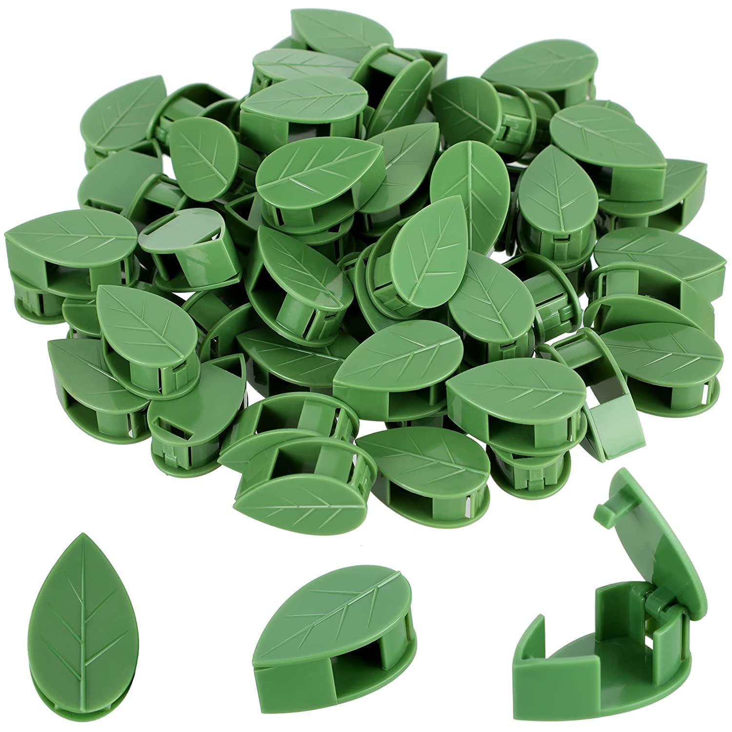 Leaf-Shaped Plant Clips for Support – Invisible Garden Wall Fixture Clips, Self-Adhesive Plant Fixer for Climbing Vines, Creepers, and Indoor Home Decor (1 Packet = 10 Clips)-image-23