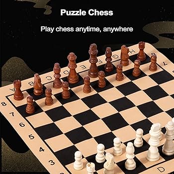 Amazon.co.jp: チェッカーズ ボードゲーム,2-in-1 コンボ ボード