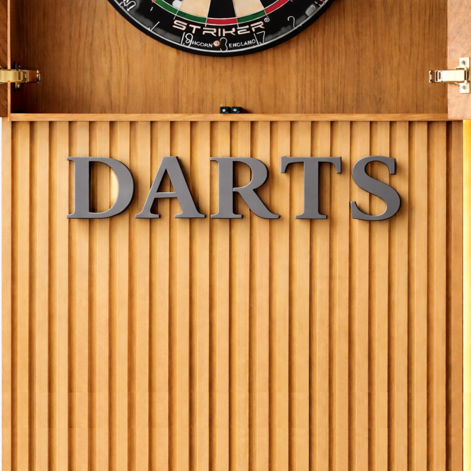 DARTS 3D Wall Letters Sign Man Cave Games Room Dartboard Dad (Grey)