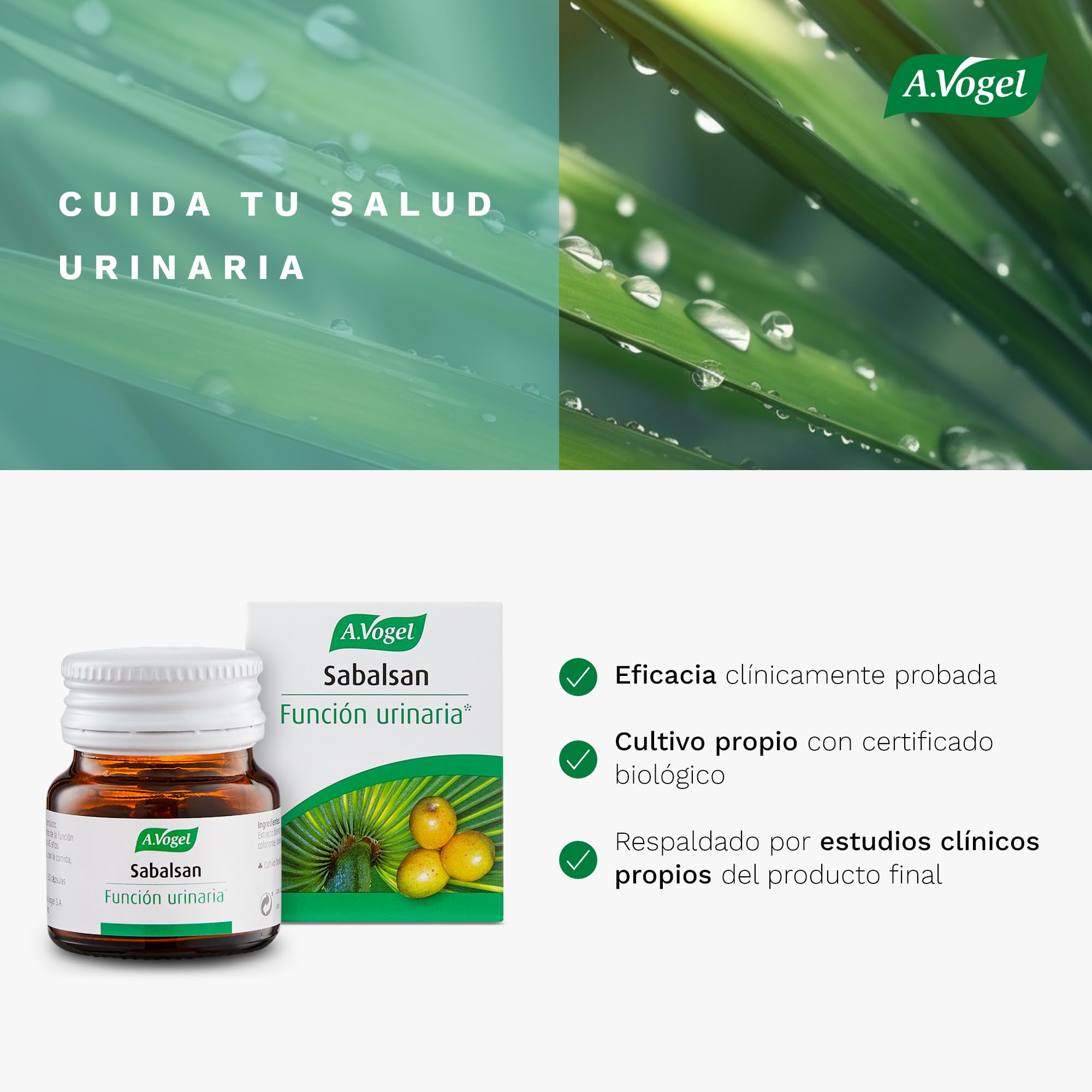 A.Vogel Sabalsan | Apoya a la Función Urinaria | Extracto de Sabal Serrulata | Ingredientes orgánicos | 30 perlas