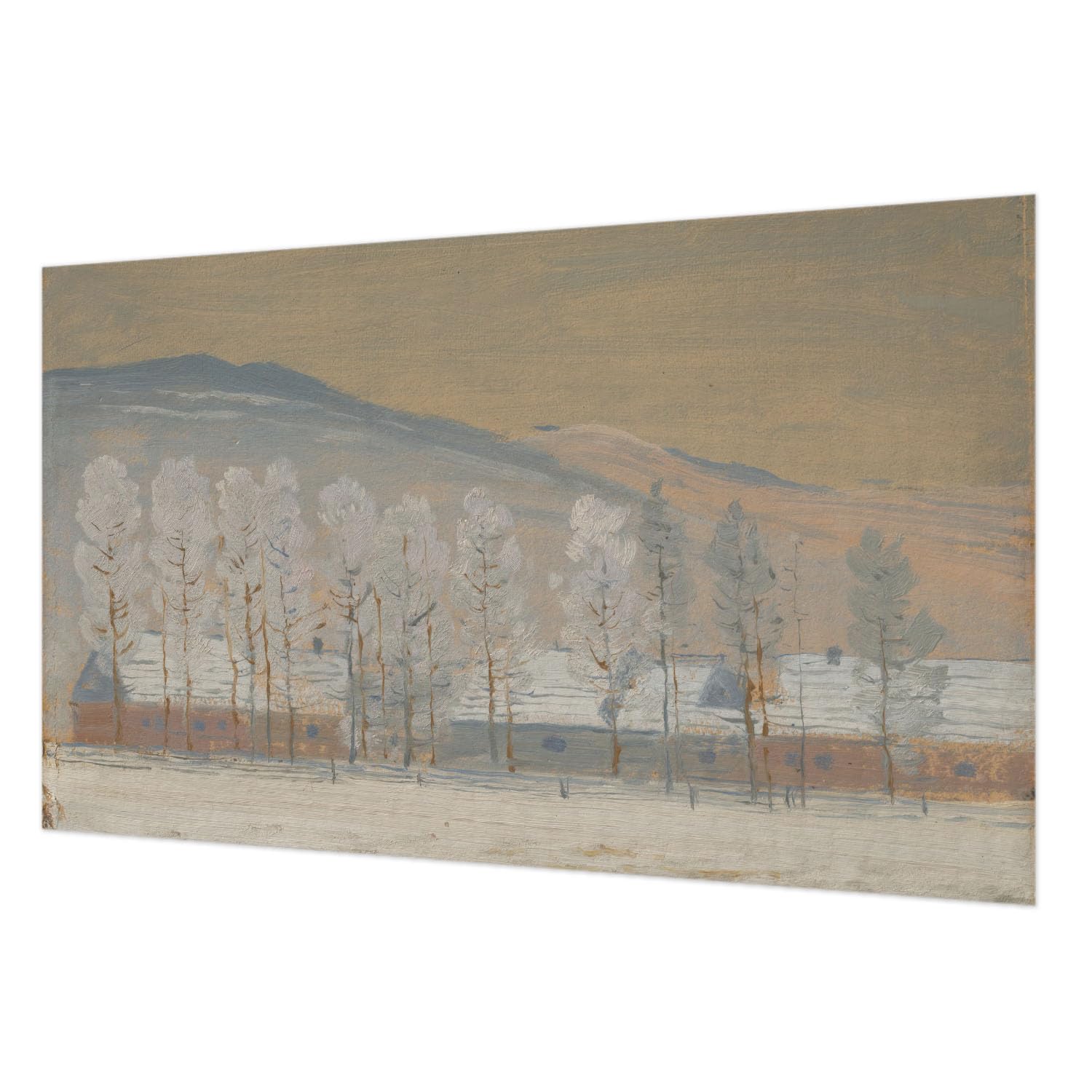 Papier peint paysages d'hiver facile à nettoyer pour effacer les imperfections