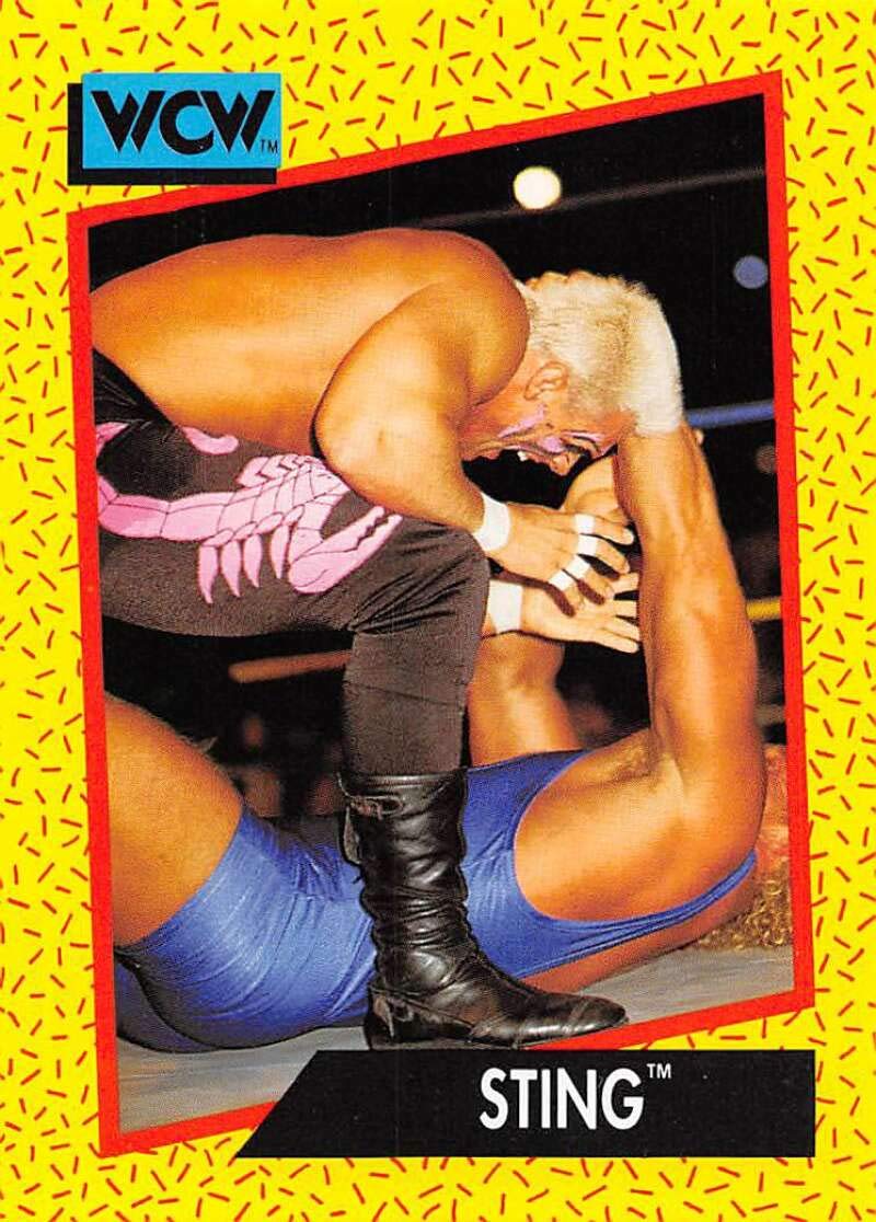 Amazon.com: 1991 Impel WCW Wrestling #6 Sting Official World Championship  Wrestling Trading Card : Collectibles & Fine Art