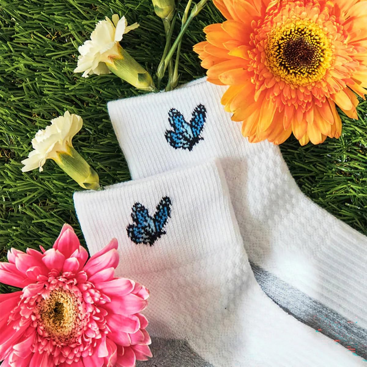 Dr. Motion Compression Quarter Socks For Women With Enhanced Cushion And Breathable Arch Support 6 Pairs (US, Numeric, 9, 11, Regular, Regular, Assorted #6)