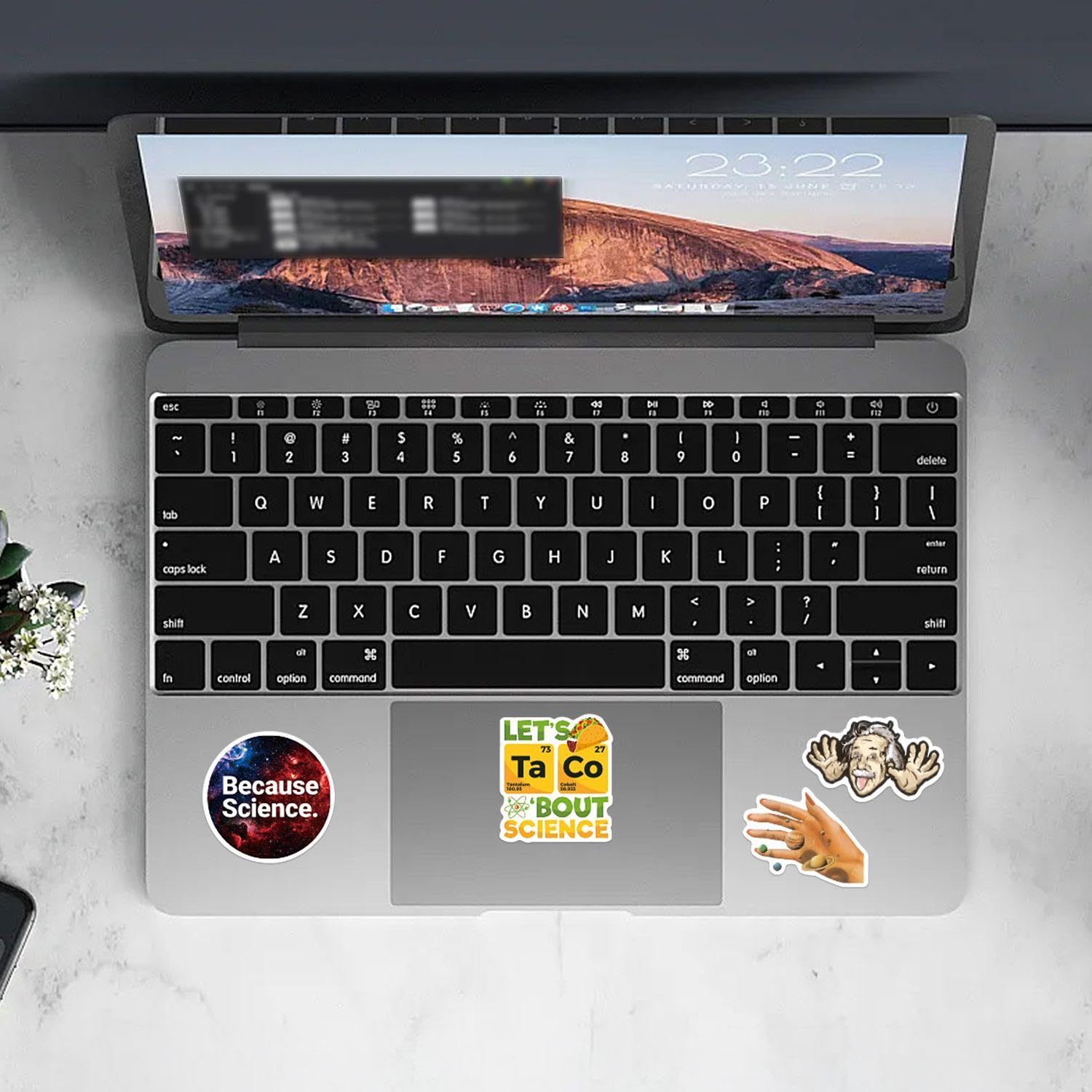 100 Adesivi da Laboratorio Scientifico, Adesivi Graffiti Personalizzati, Adesivi Decorativi per Desktop con Tazze per Notebook Fai da Te, Decorazioni Adesive Scientifiche