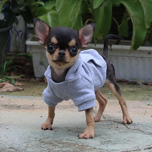 Miniatura 6 de LOPHIPETS Sudadera ligera de algodón con capucha para perros pequeños  Sudadera con capucha para chihuahuas cachorros y razas de juguetes-GrisXXS