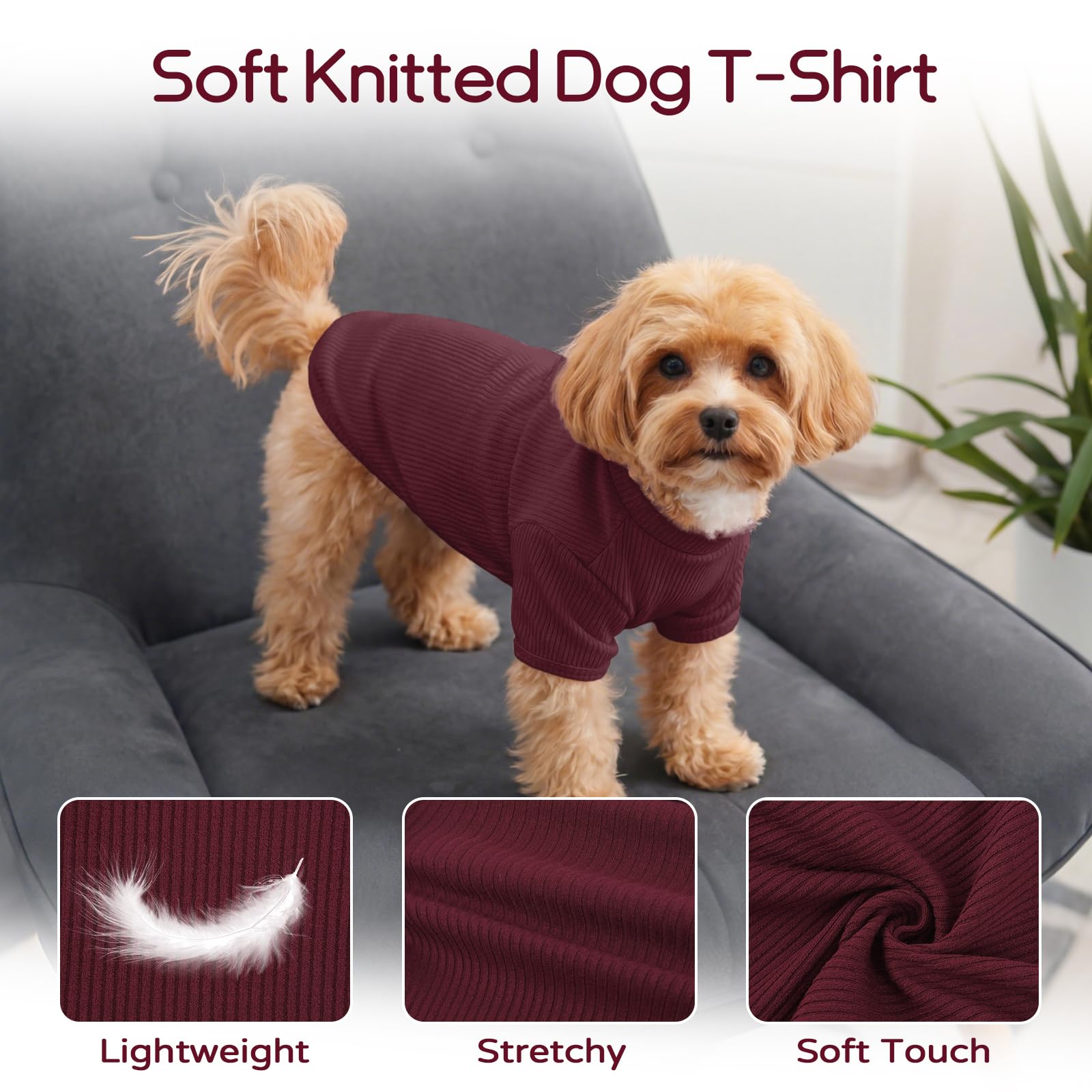 Pull en tricot pour chien L - T-shirt léger pour animal de compagnie pour Beagle - Schnauzer miniature Border Terrier - Confortable et décontracté - Pour promenades, voyage et confort à la maison