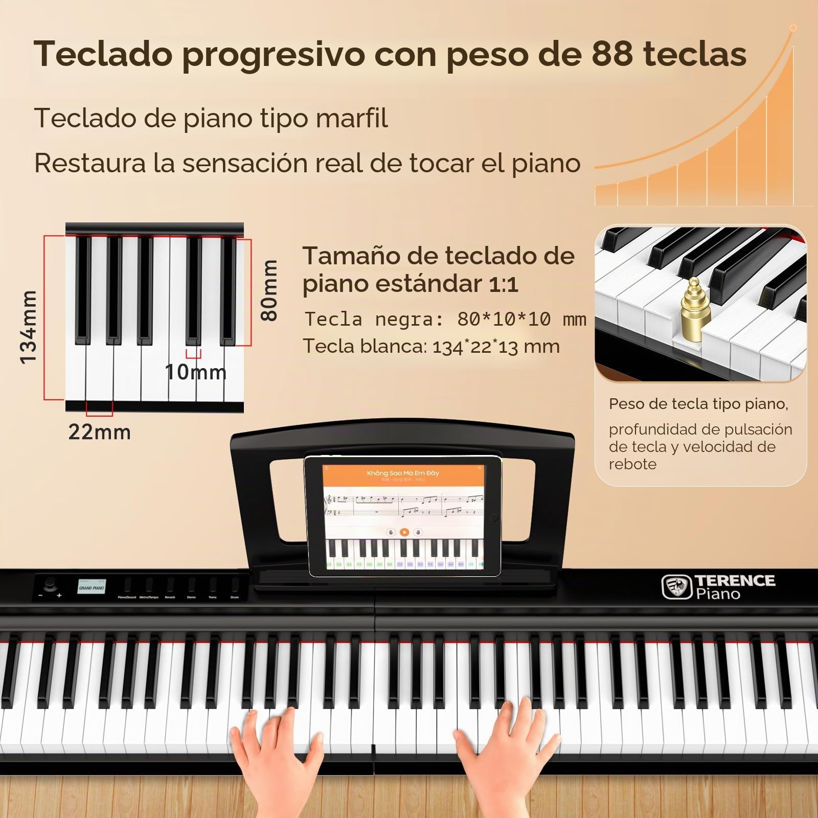 TERENCE Piano Plegable de 88 teclas con batería de 2000mAh 2x25W Altavoces Pedal Piano Bluetooth interfaz MIDI soporte para partituras bolsa adhesiva cable de audio pedal piano