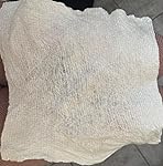 Review Image by Christine Schmittauer Christine Schmittauer