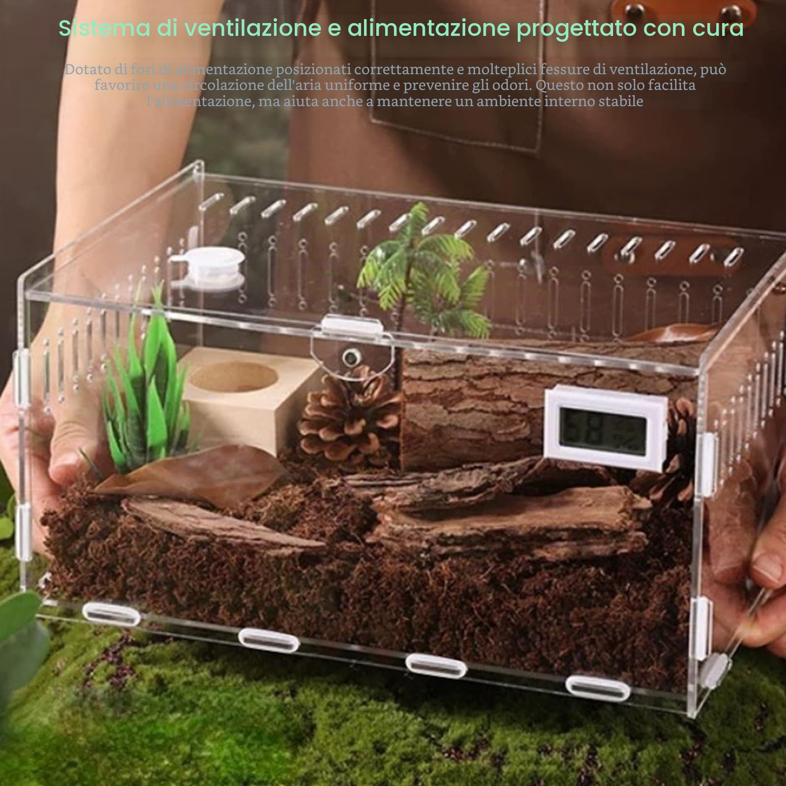 Terrario in Acrilico - 30 x 20 x 15 cm - Mini PC - Trasparente - Per lumache, insetti, scorpioni, leopardi, gechi, granchi eremiti
