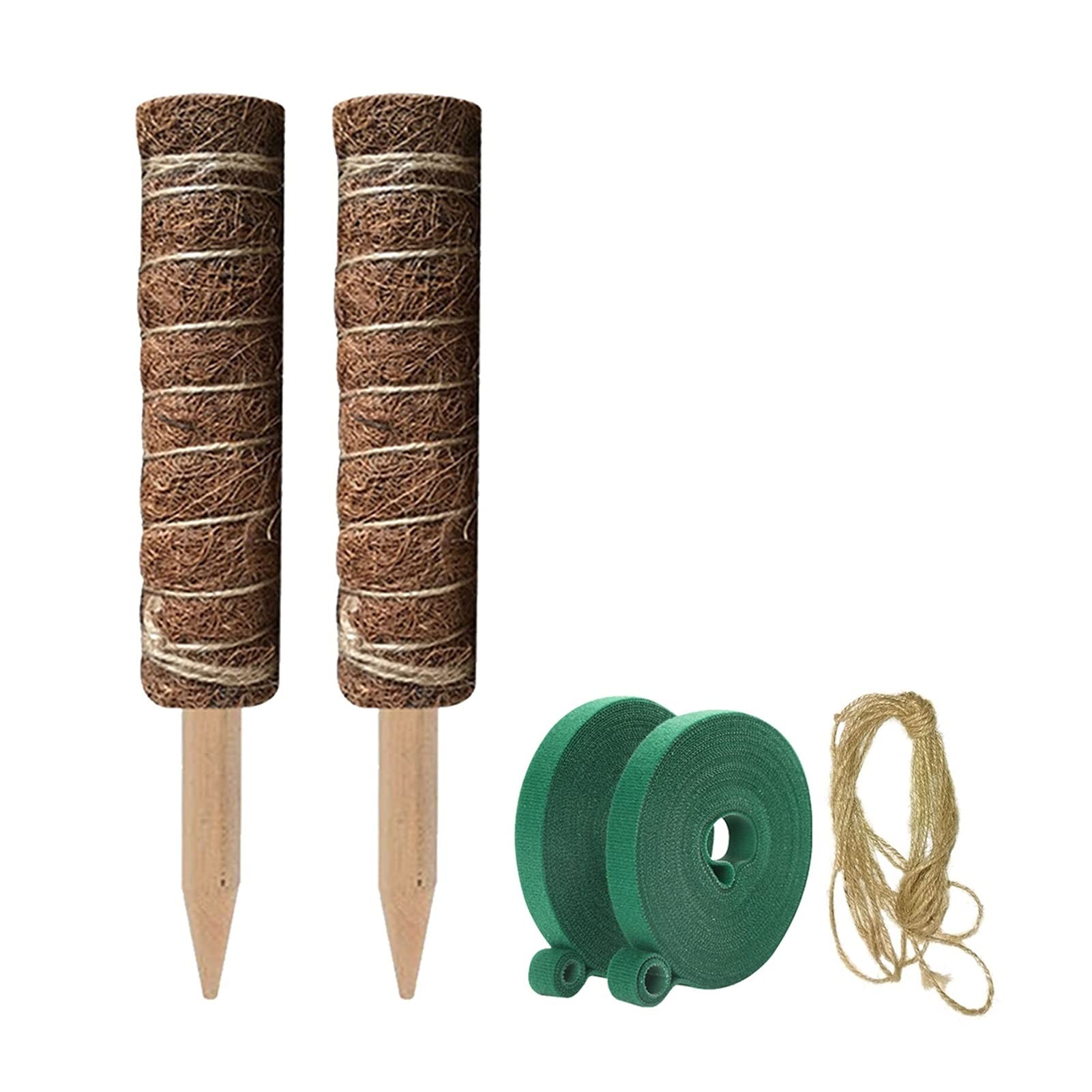 Saturey Tuteur Plante 2pack Pole Support TRULIS PIETEUR DE Plante D'ÉLIMINATION Moss ROYANCE Fibre Coconut Fibre Maison Jardinage Cadre de Balcon Support pour Plantes De Jardin (Size : 35cm)