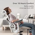 SIHOO Doro C300 Ergonomic Office Chair with Ultra Soft 3D Armrests, Dynamic Lumbar Support for Home Office Chair, Adjustable Backrest Desk Chair, Swivel Big and Tall Computer Chair (Grey)