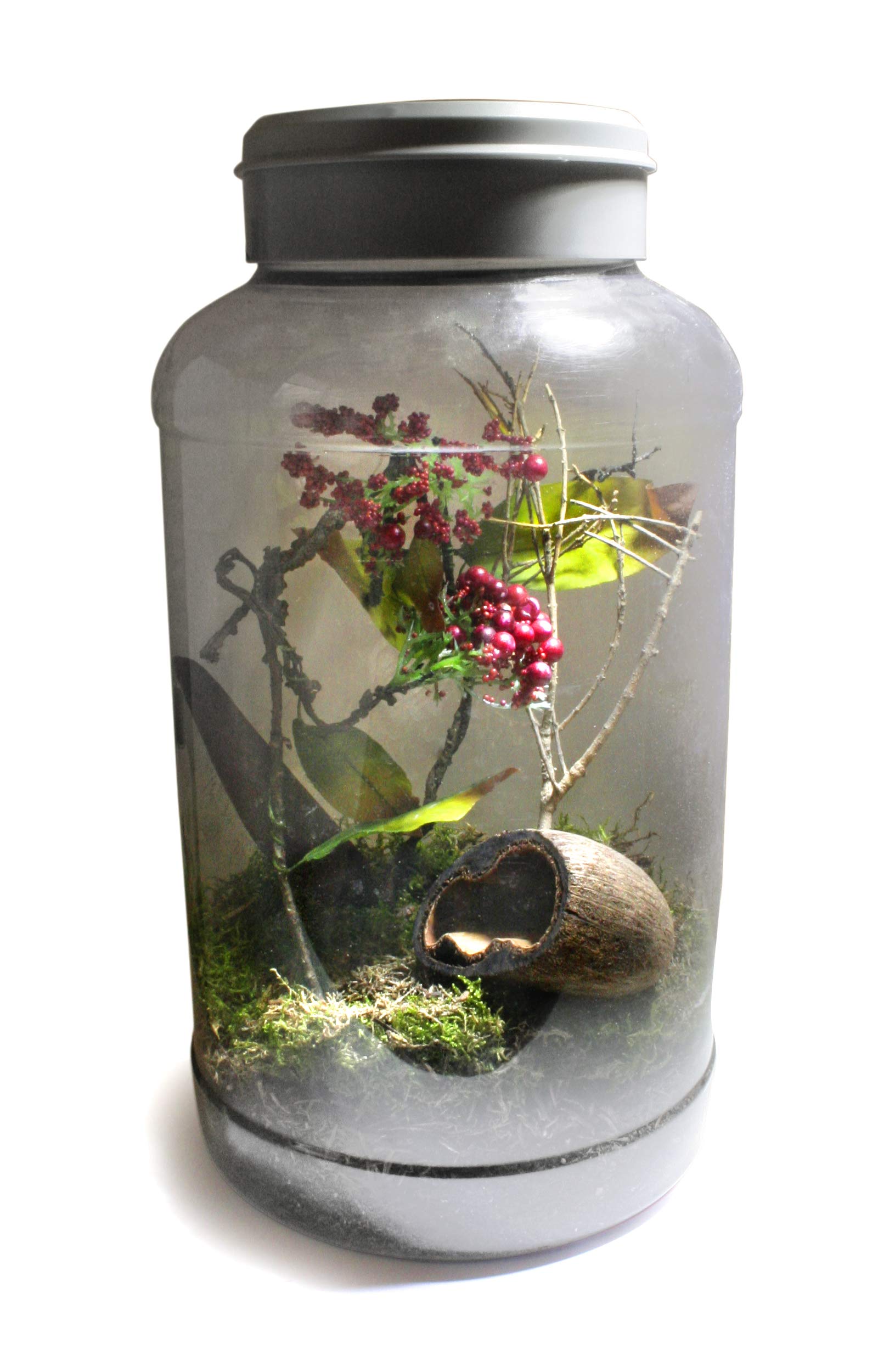 Life Experience Kit déco pour Petits terrariums Nano