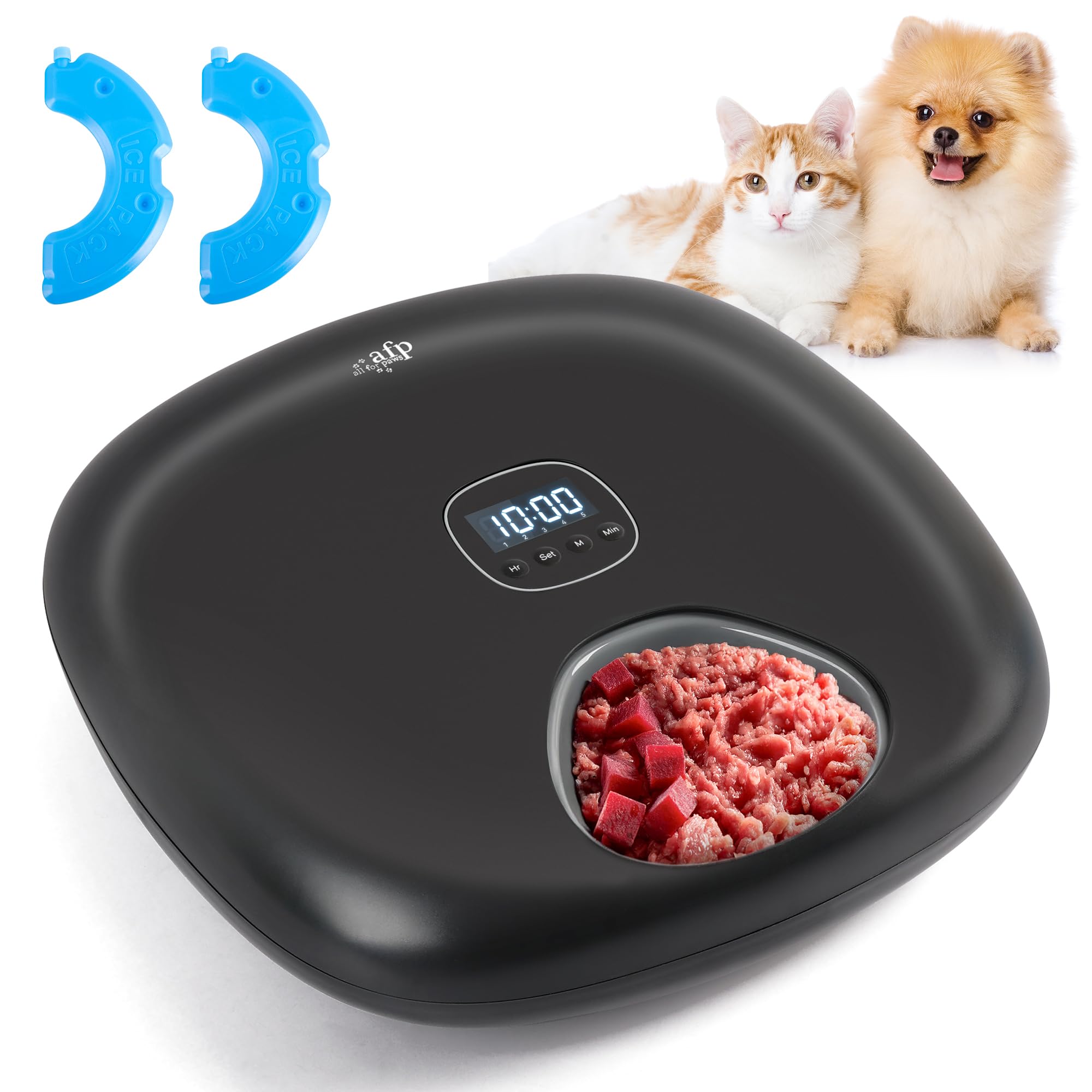 ALL FOR PAWS Distributeur Automatique de Nourriture sans Fil pour Chat 6 Repas,Accepte Nourriture Humide & Sèche,avec 2 Sachets de Glace,Rechargeable,Minuterie Programmable