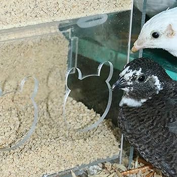 Pull-out Transparent Parrot Feeder, 18.5 * 14.5 * 14cm Parrot Feeders