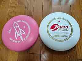 VAN JAC フリスビー フライングディスク フライング ディスク 24cm フリスビー アウトドア スポーツ