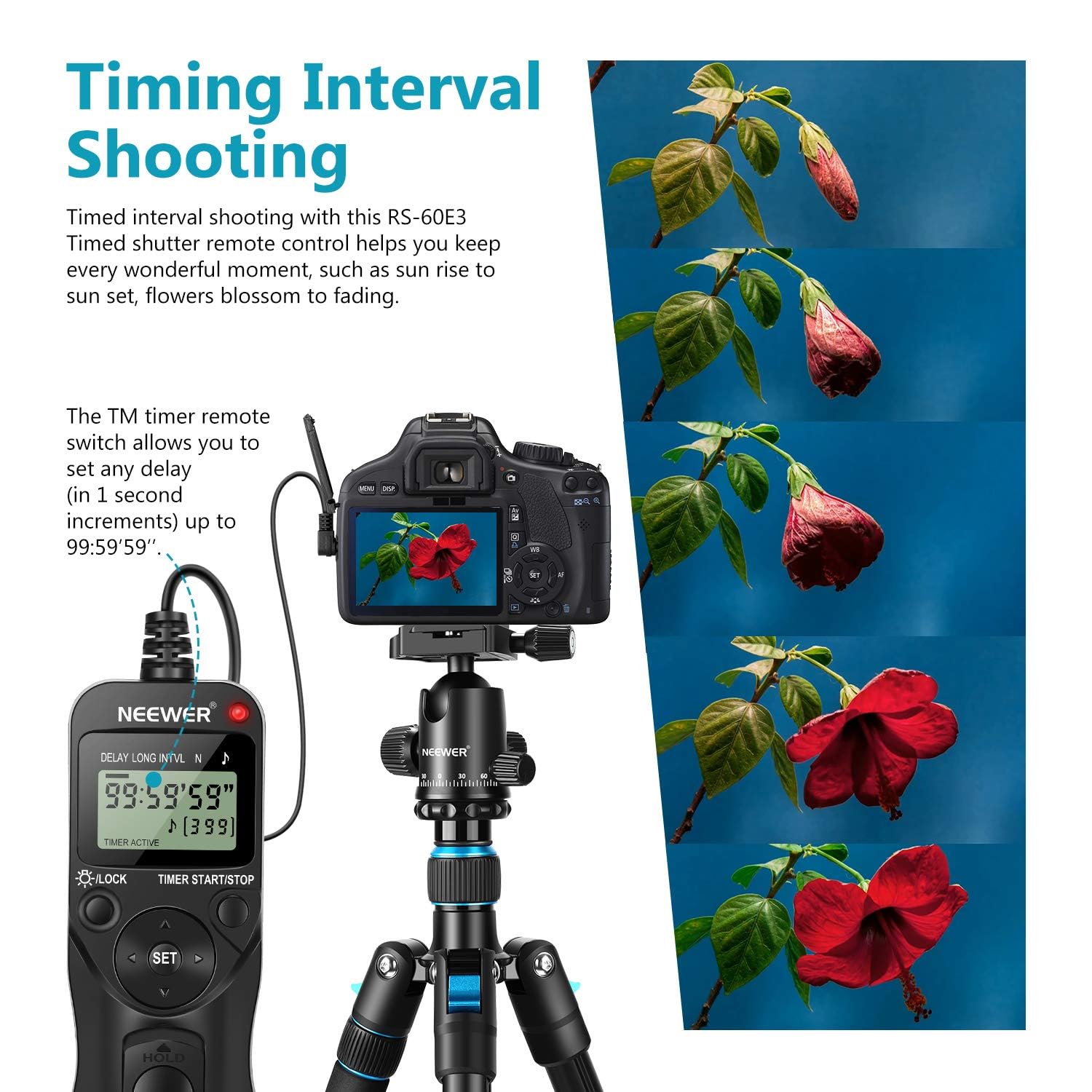 NEEWER Télécommande de Minuterie Déclencheur À Distance Minuteur Replacement EZA-C1 Pour Canon EOS Pentax Hasselblad Contax RS-60E3
