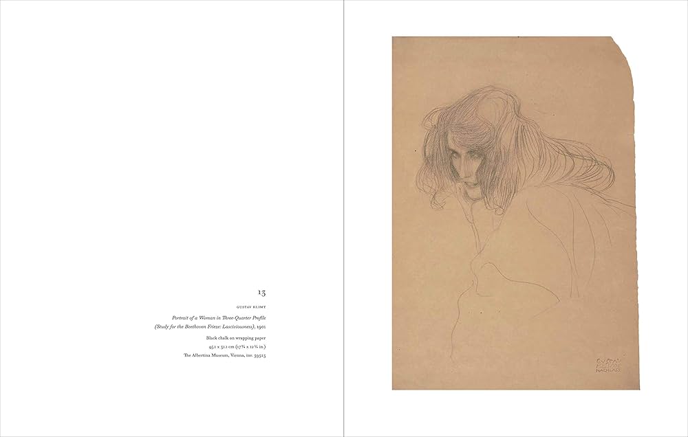 アート・デザイン・音楽 Klimt and Schiele Drawings Klimt and Schiele: Drawings: Klimt, Gustav, Schiele, Egon