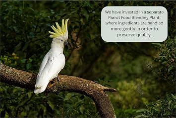 Johnston & Jeff Cockatiel & Big Parakeet Seed 3Kg