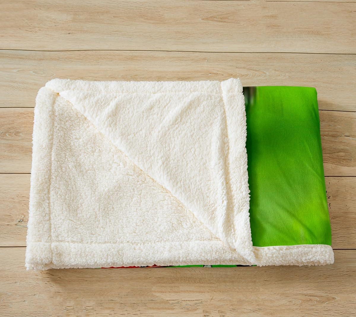 Feelyou Ladybug Fleece Throw Blanket Red Ladybugs Sherpa Blanket Green Nature Plant Plush for Bed Sofa Couch Teensrainy Fuzzy Queen 90" X90