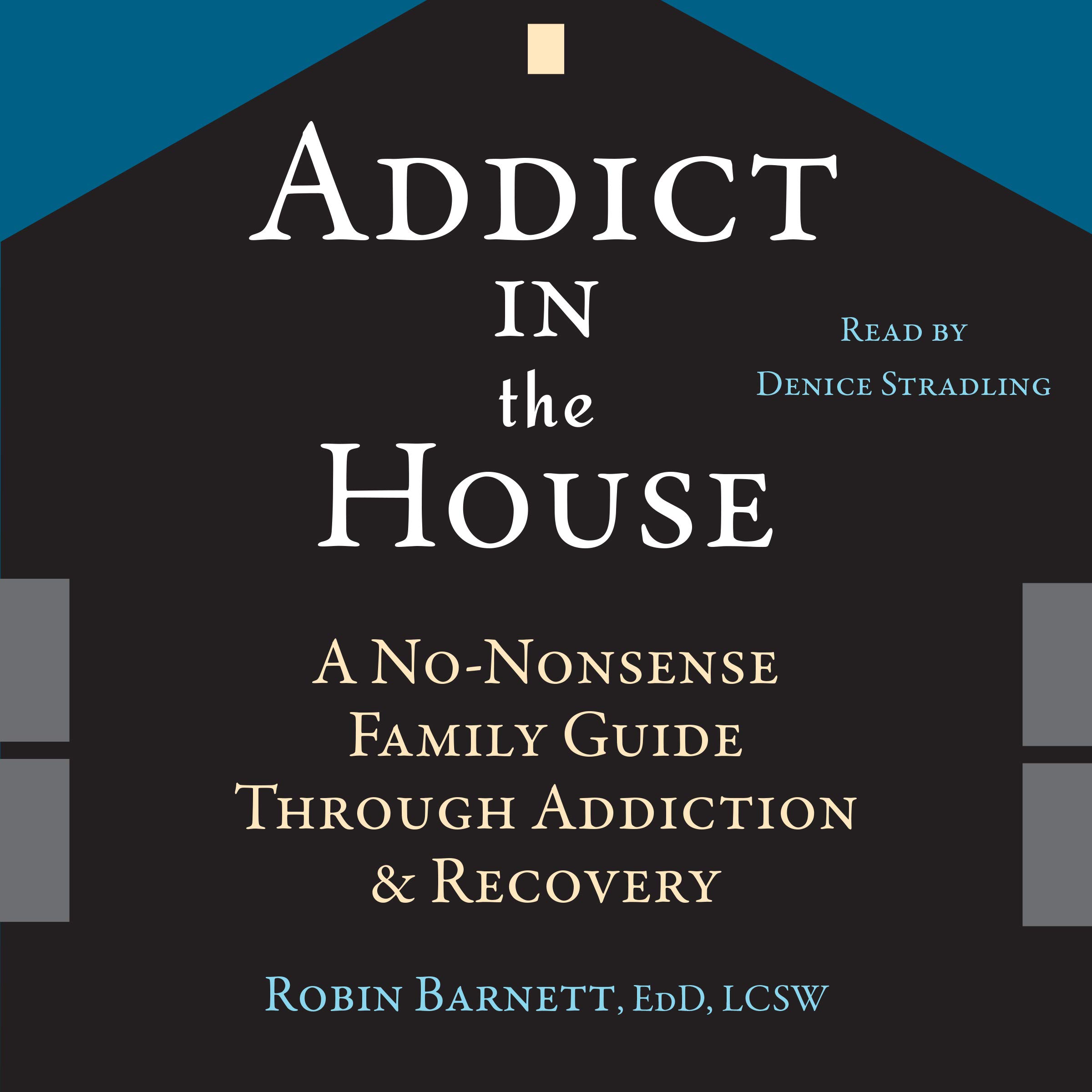 Cover art for Addict in the House