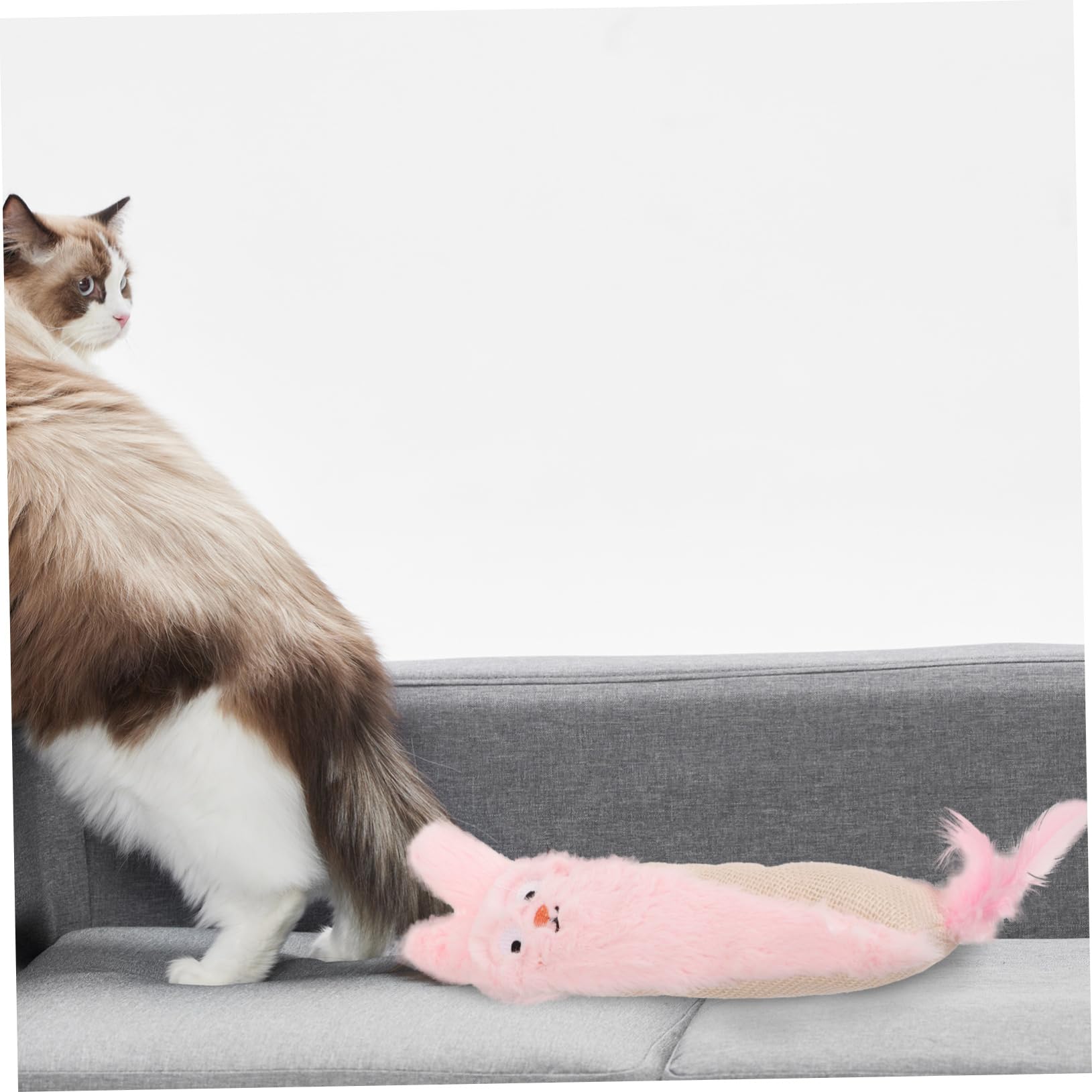 UKCOCO Mâcher pour Chat Cataire Peluche avec Papier Crépitant pour Chat pour Soulager Stress Activité