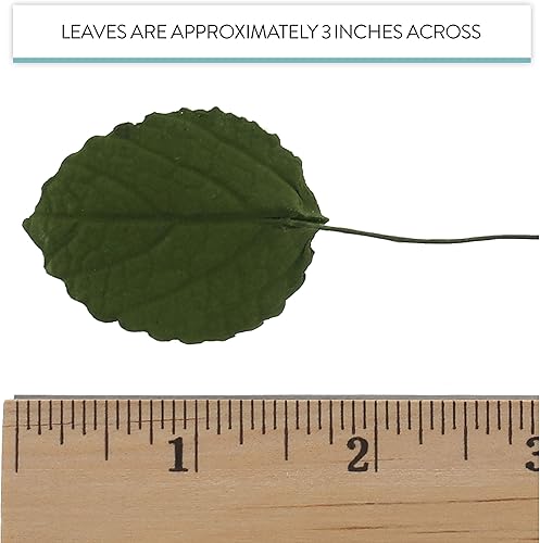 Miniatura 5 de Global Sugar Art Hojas de hortensias para pastel de azúcar, flores pequeñas verdes, 30 unidades por el chef Alan Tetreault