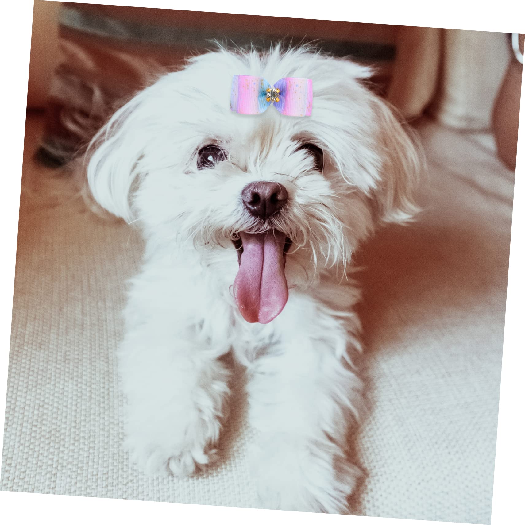 Toddmomy 125 Piezas Flor de Cabeza de Mascota pequeños Lazos para el Pelo de Cintas de Pelo de Perros Accesorios decoración para Mascotas Arcos de Lazo de Pelo de