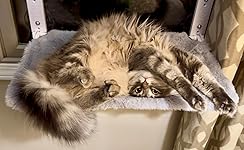 Review Image by JOHN MULLICAN JOHN MULLICAN