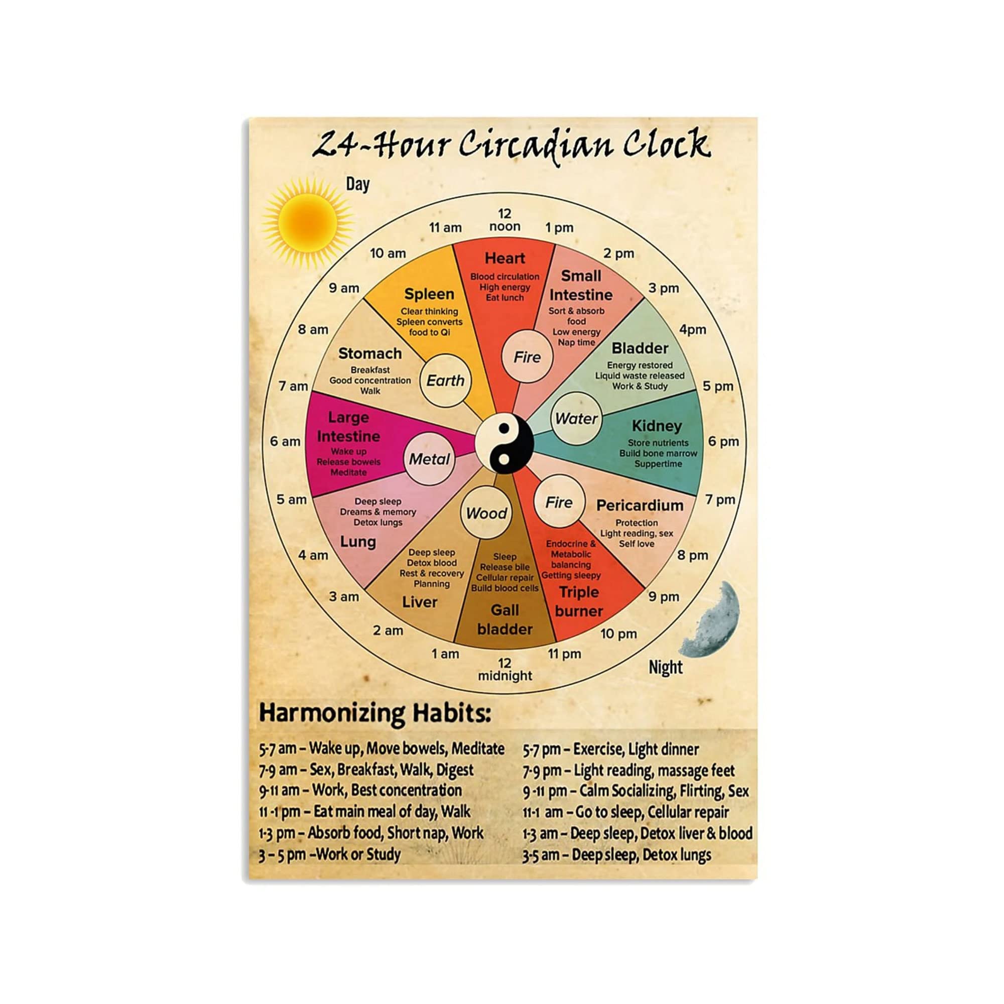 Plaque Rétro Métal Horloge Circadienne 24h - 20,3 X 30,5 Cm - Affiche Vintage Médecine Chinoise