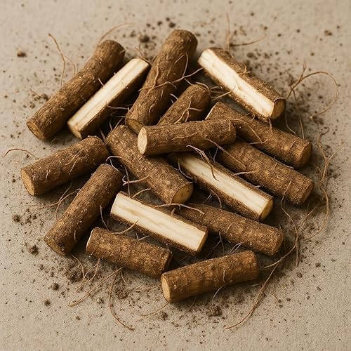 12 piezas - Esquejes de clon de raíz de consuelda