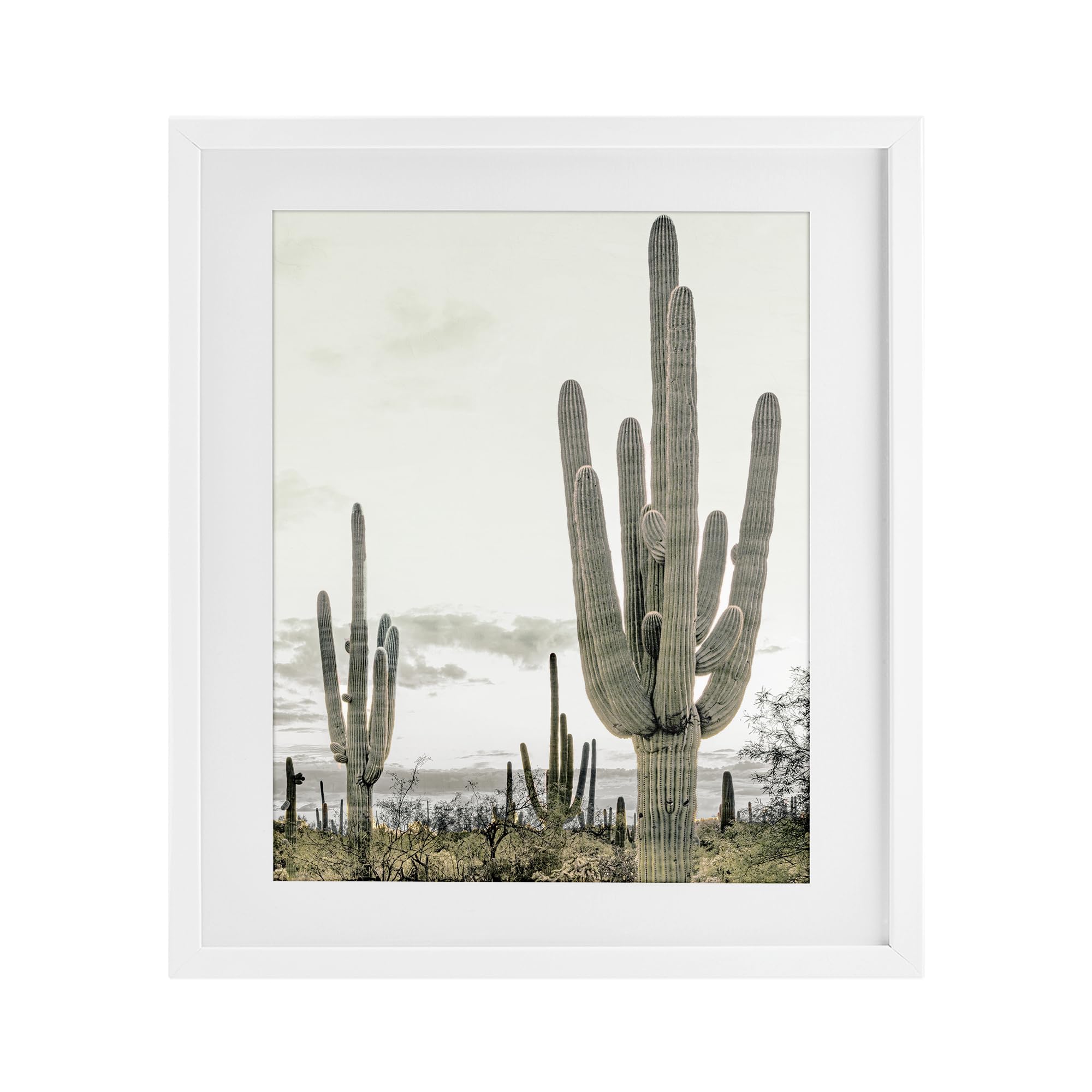 Stupell Industries Southwestern Desert Cacti Sunset 'Subdued Desert Cacti', Framed Print Under Glass, White, 13 X 16 Inches, Easy To Hang And Sturdy, Made In Usa, By Kim Allen
