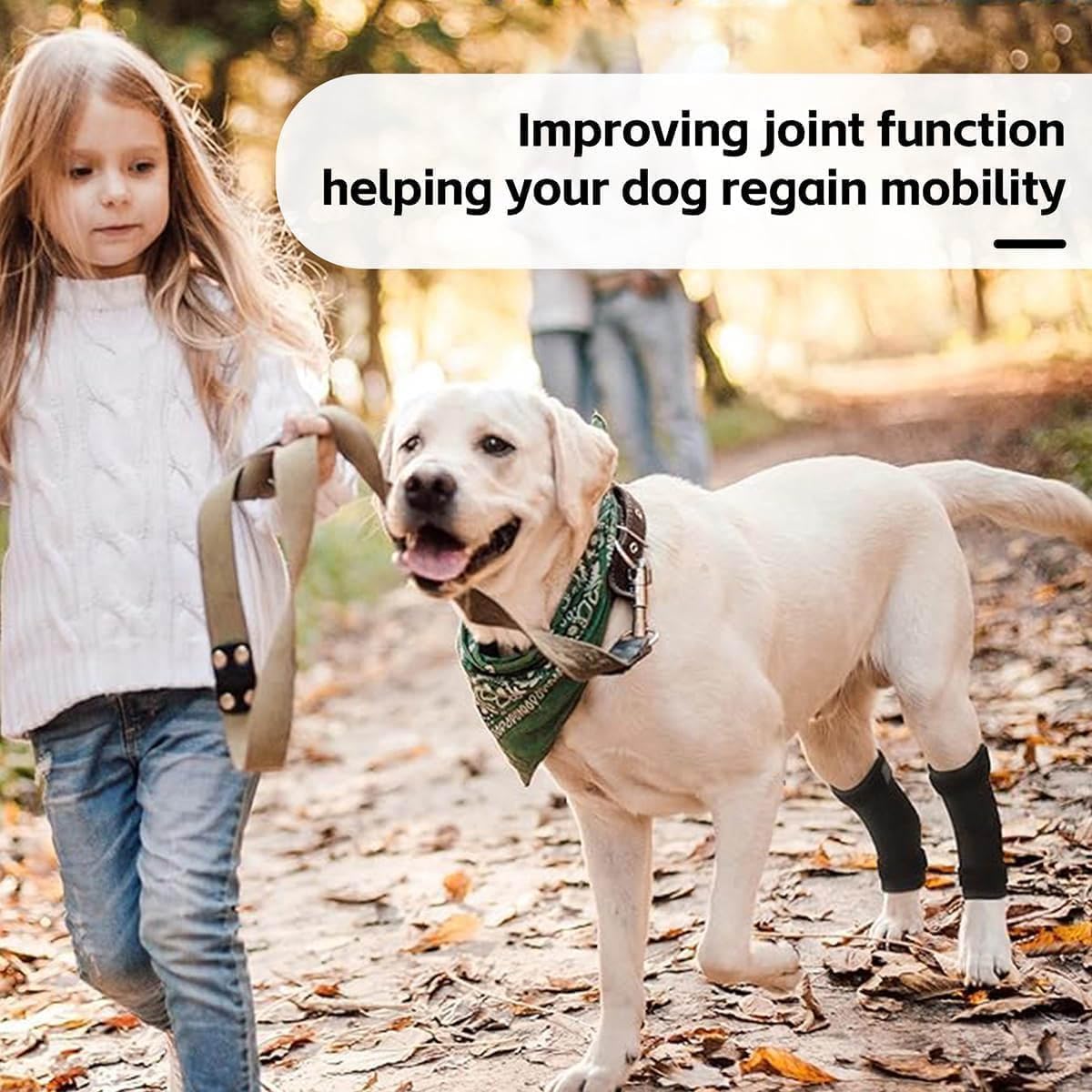 Terapia a luce rossa per animali domestici, cuscinetto riscaldante con timer, include 1 fascia per zampe anteriori e 1 fascia posteriore per gambe, ideale per cani anziani e gatti con dolori muscolari