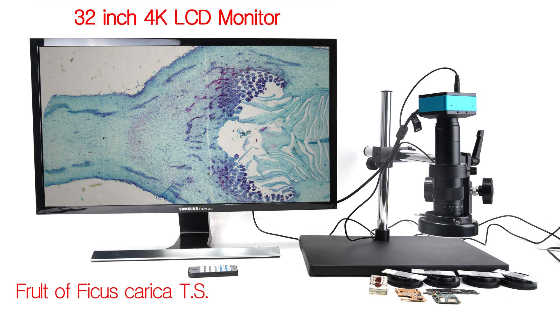 HAYEAR Kit de cámara de microscopio HDMI 4K para laboratorio industrial PCB salida USB TF tarjeta grabadora de video + lente de montaje C 180X + soporte estéreo grande + luz LED 144