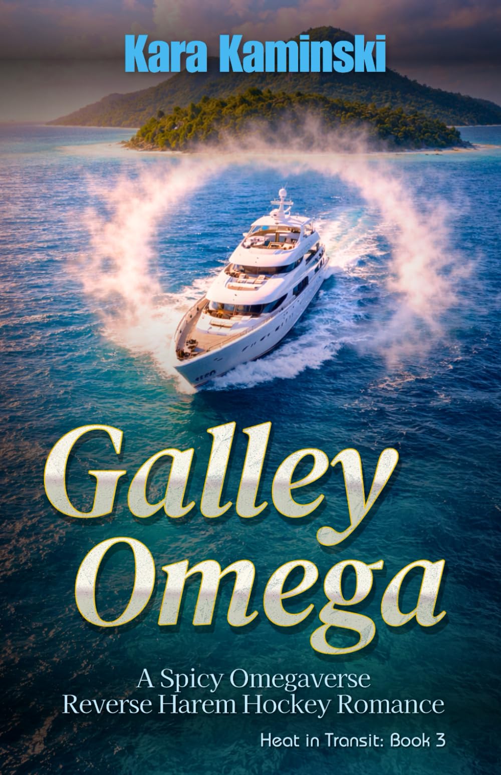 Galley Omega: A Spicy Omegaverse Reverse Harem Hockey Romance (Heat in Transit)