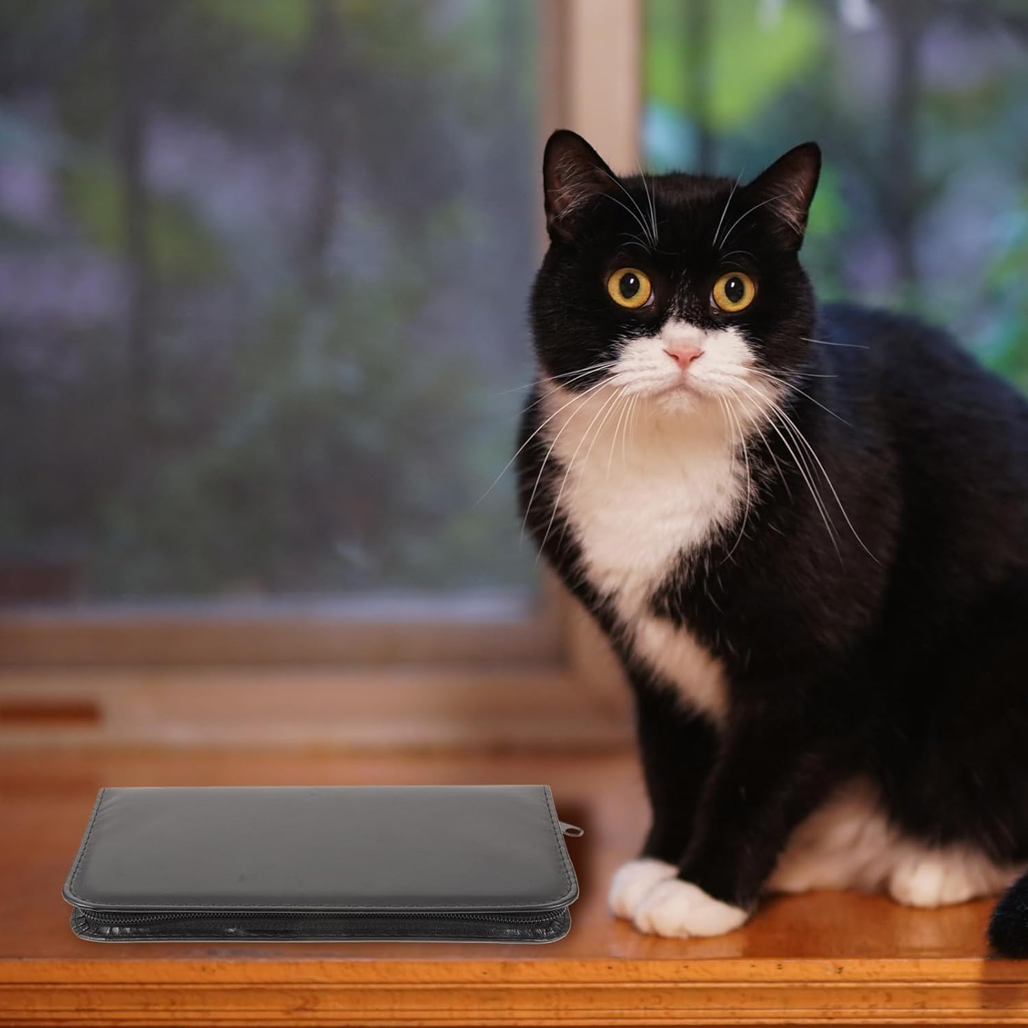 Dog Grooming Scissors Kit Pet Hair Trimmer Pet Grooming Comb Cat Hair Scissor