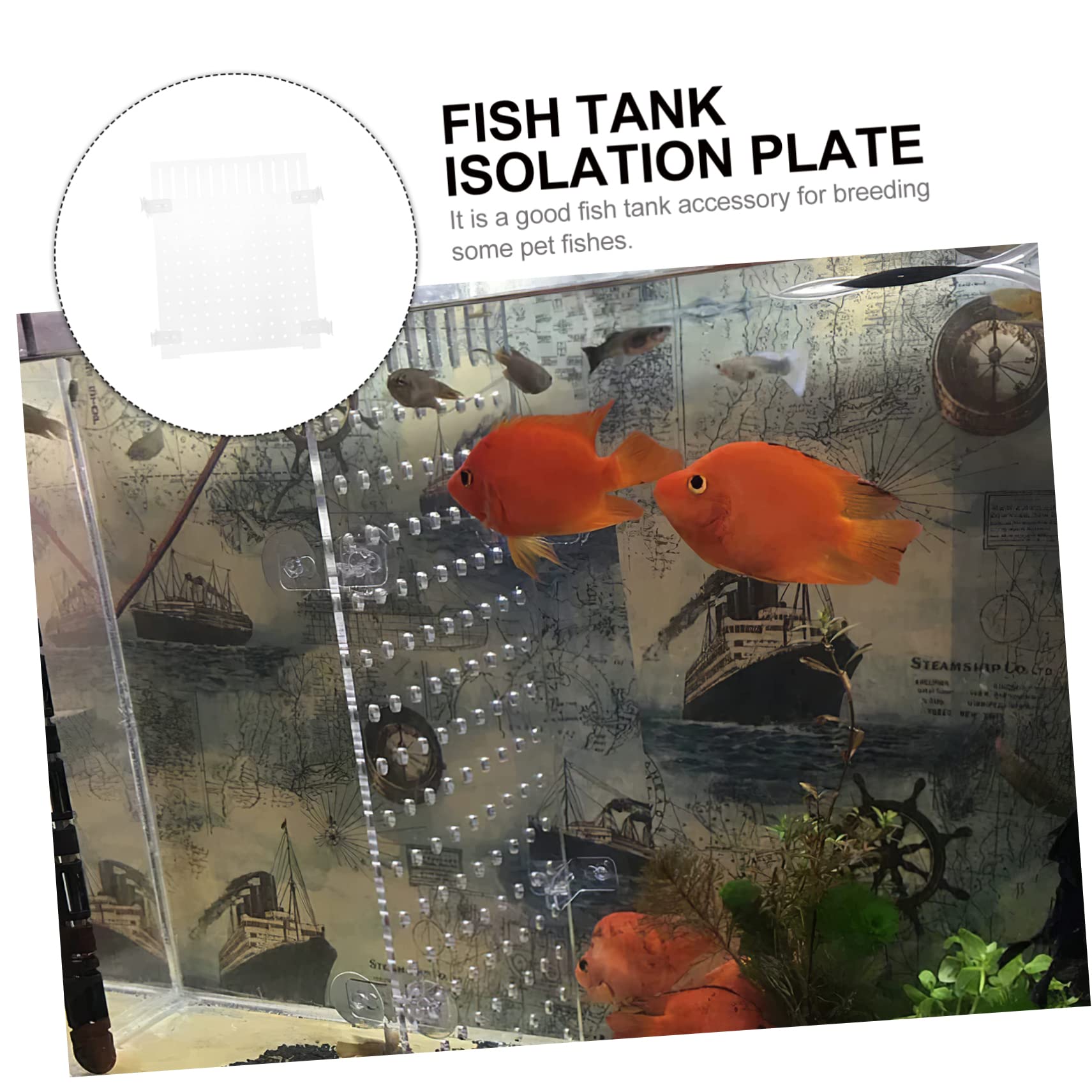 45×45水槽 仕切り板 2個セット Amazon | 水槽 板 水槽セット 45cm 仕切り板 アクリル アクリル水