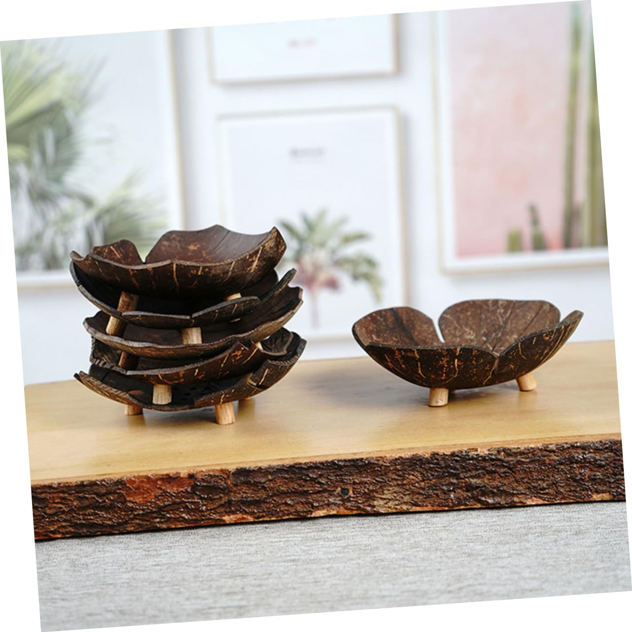 5 Stück Blumenförmige Seifenschale aus Holz und Kokosnussschale mit Ablauf Haushalts Seifenhalter für Bad Dusche und Küche Trocken Haltende Seifendose ohne Bohren Langlebig und