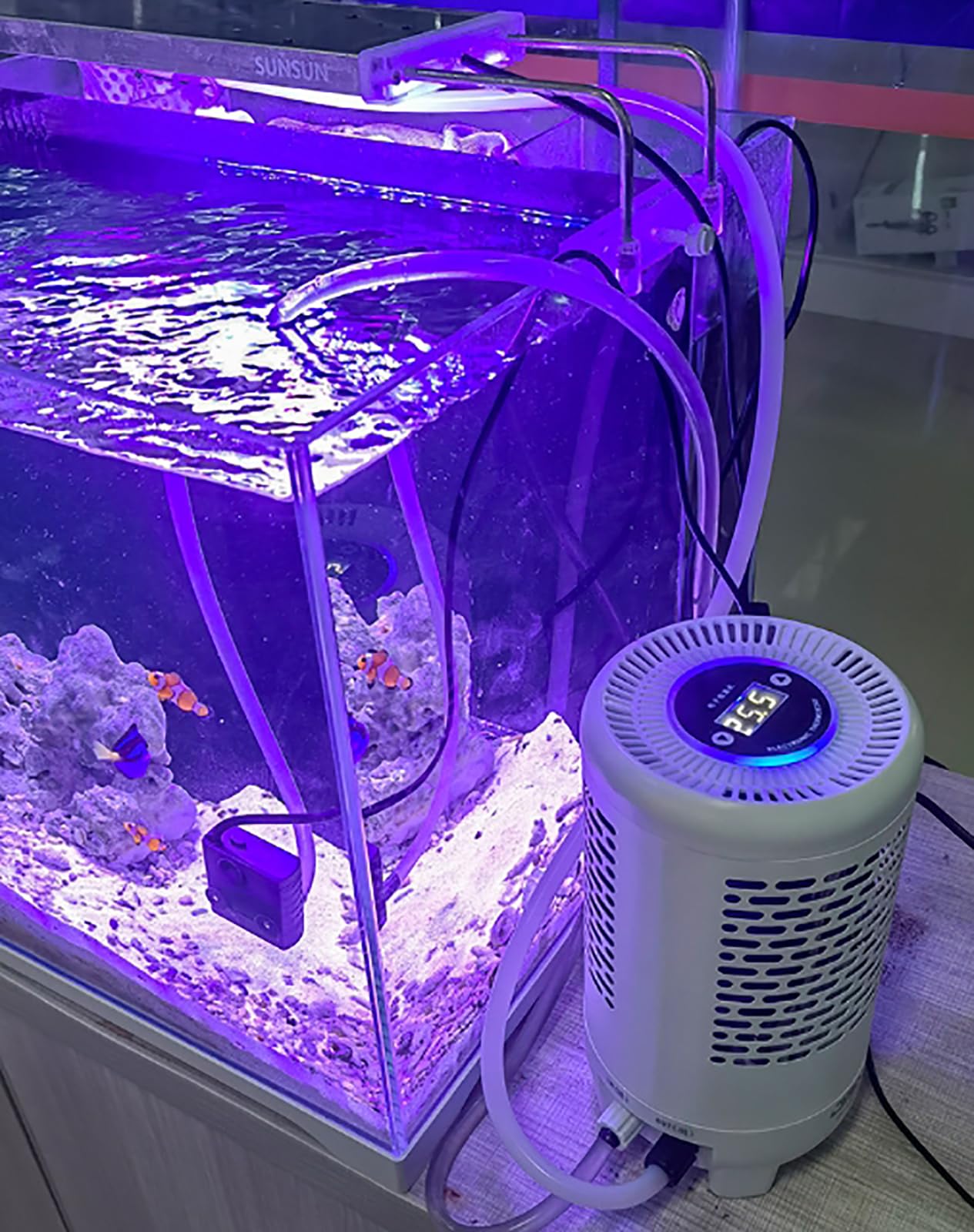 Regolatore di temperatura per acquario con display a LED, termostato automatico di raffreddamento e riscaldamento per acquari fino a 30 l